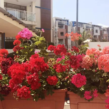 Sun 1 - Family Apart Sunny Beach