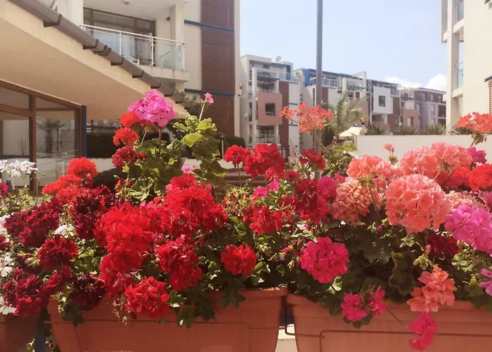 Sun 1 - Family Apart Sunny Beach